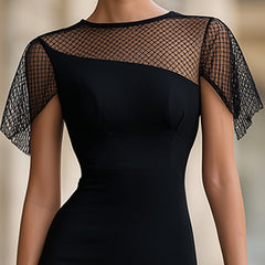 Sheer mesh panel fitted midi dress from My Store, showcasing a sleek, form-fitting silhouette with elegant mesh details.