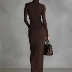 Brown women's turtleneck dress with long sleeves and fitted silhouette, stylish and comfortable for casual or office wear.
