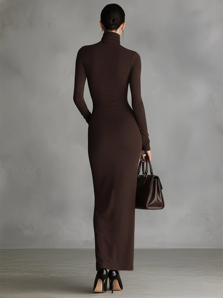 Brown women's turtleneck dress with long sleeves and fitted silhouette, stylish and comfortable for casual or office wear.